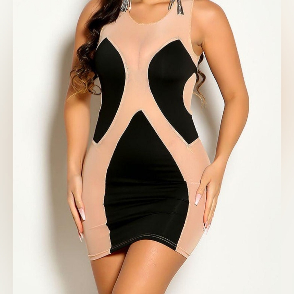 Sexy Black And Tan Sheer Dress